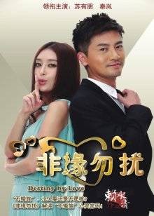 韩国女菩萨-LEEHEE EXPRESS &#8211; LEDB-043A &#8211; Son Ye-Eun (손예은)-家政（50P,501M）